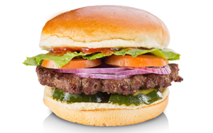 Hamburger-300×188